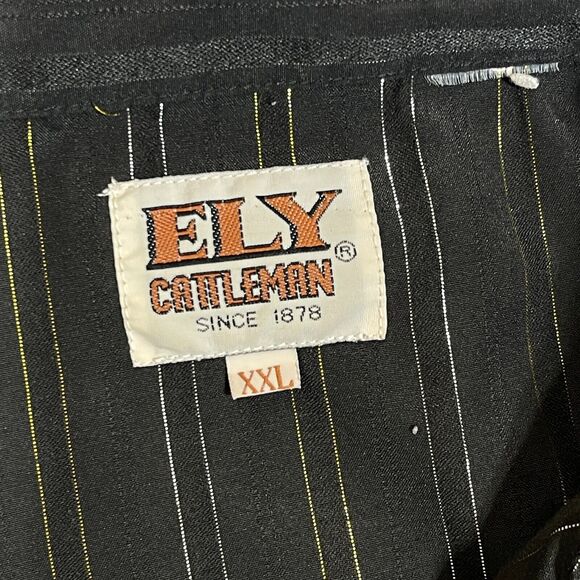 Ely Cattleman Western Shirt Youth XXL Long Sleeve Pearl Snap Stripe Rodeo Cowboy - Picture 3 of 9